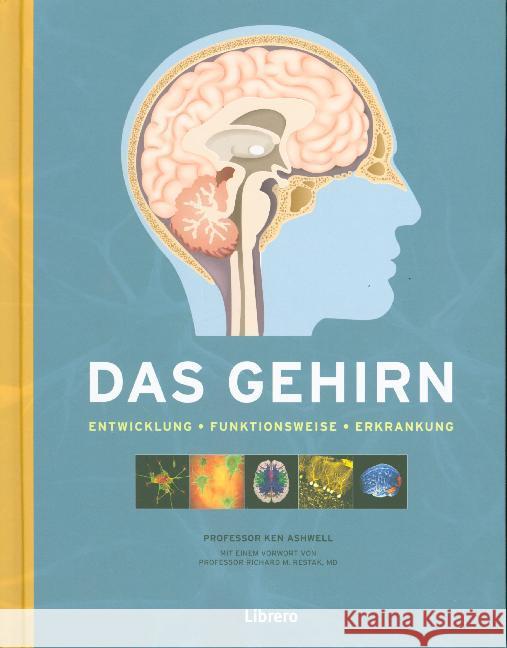 Das Gehirn : Entwicklung - Funktionsweise - Erkrankung. Mit e. Vorw. v. Richard M. Restak Ashwell, Ken 9789463593038