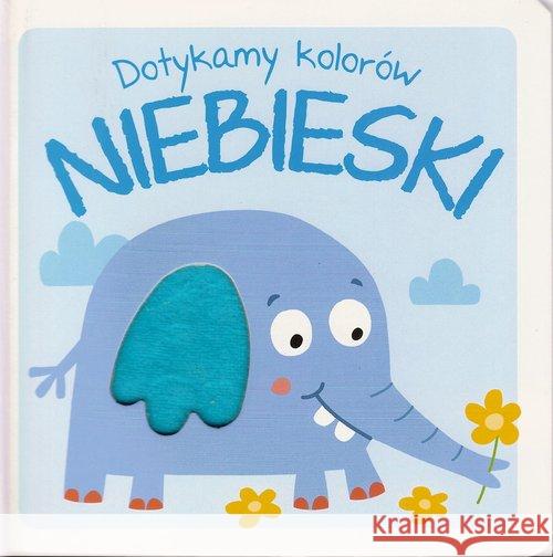 Dotykamy kolorów - Niebieski  9789463782616 Yoyo Books