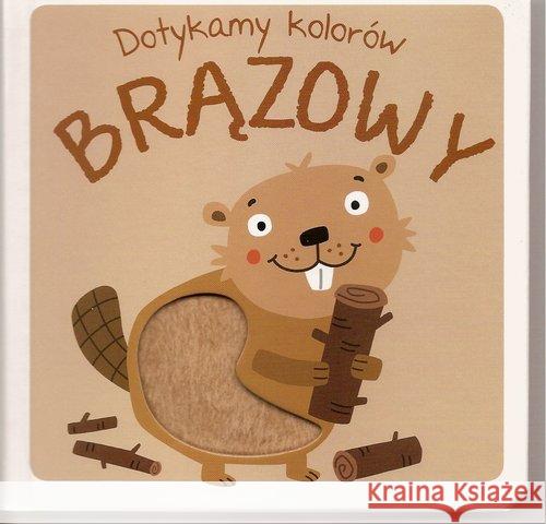 Dotykamy kolorów - Brązowy  9789463782661 Yoyo Books