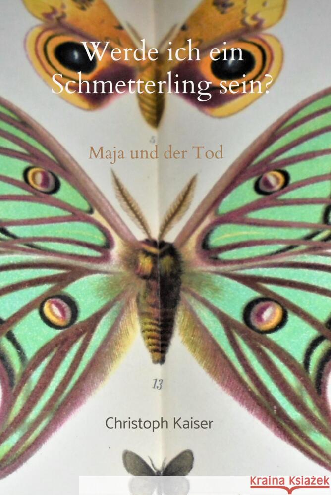 Werde ich ein Schmetterling sein Kaiser, Christoph 9789463984379 Bookmundo