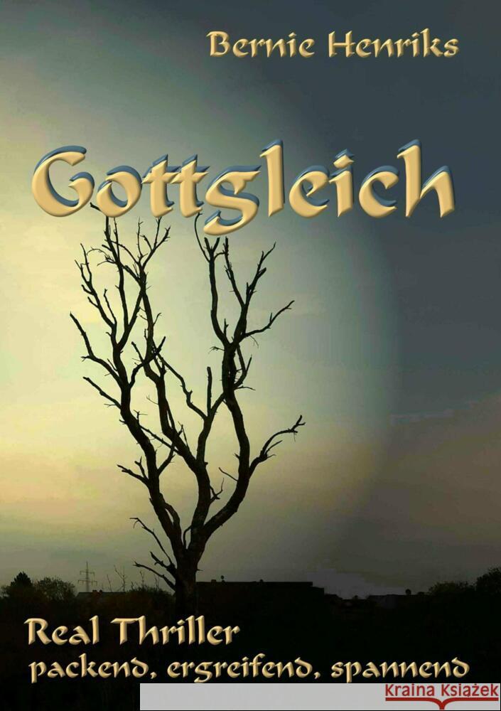 Gottgleich Henriks, Bernie 9789463986670