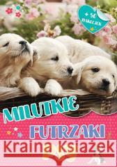 Milutkie futrzaki. Psy praca zbiorowa 9789464942927