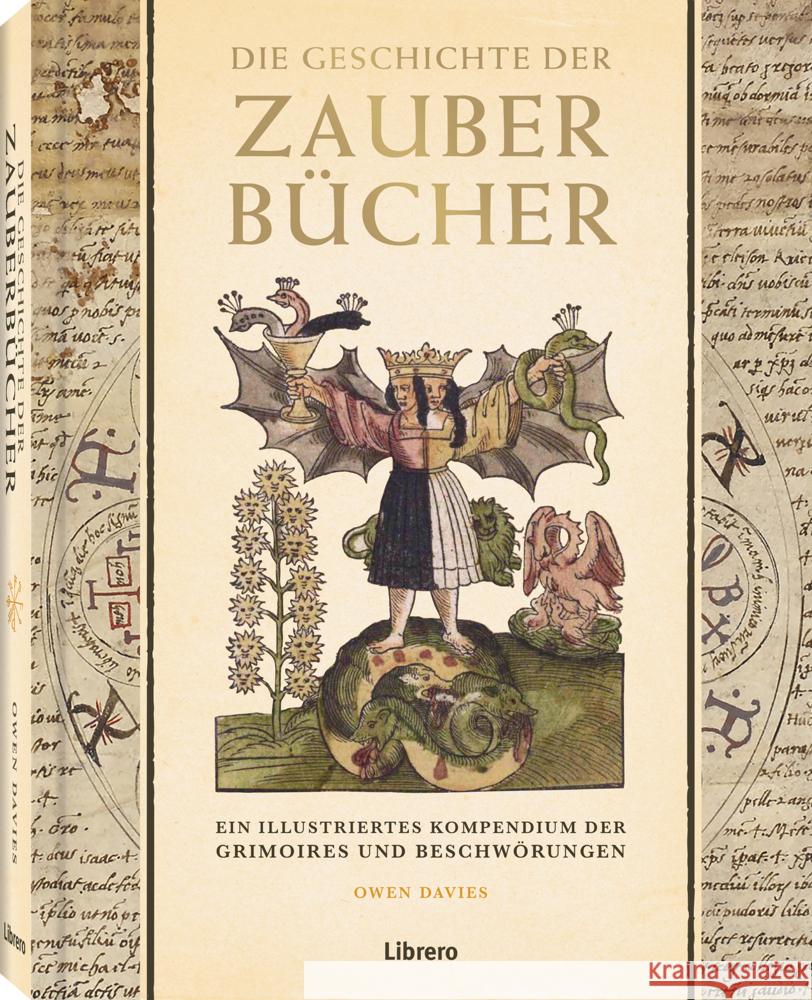 Die Geschichte der Zauberbücher Davies, Owen 9789464990690