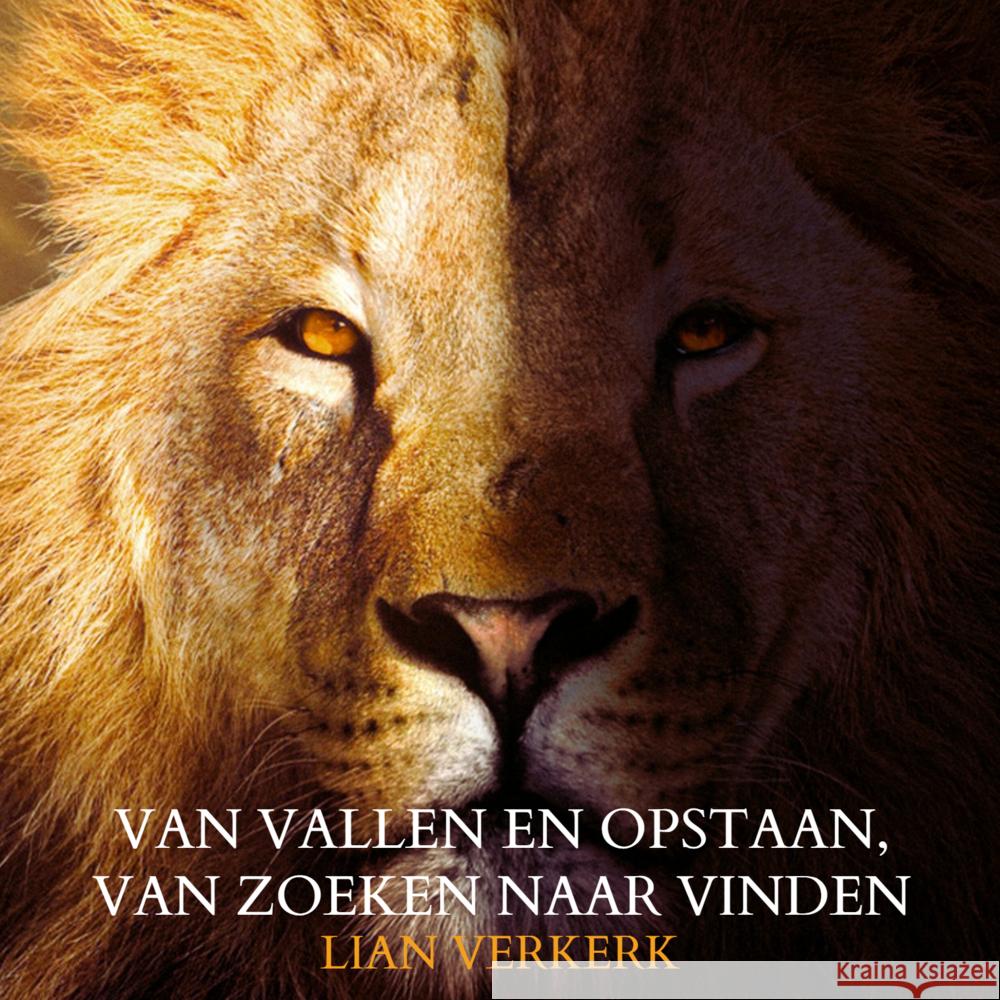 Van vallen en opstaan, van zoeken naar vinden Verkerk, Lian 9789465204369