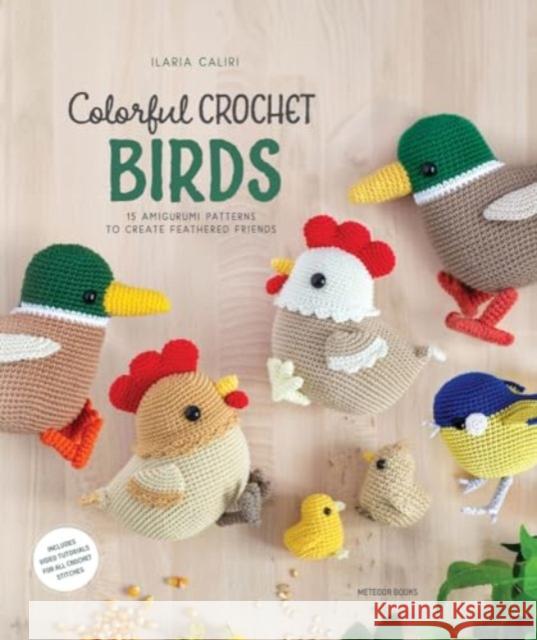 Colorful Crochet Birds: 19 Amigurumi Patterns to Create Feathered Friends Ilaria Caliri 9789491643521 Meteoor BVBA