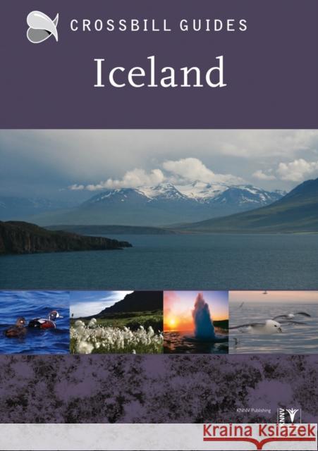 Iceland Andy Jones 9789491648038 VINE HOUSE DISTRIBUTION