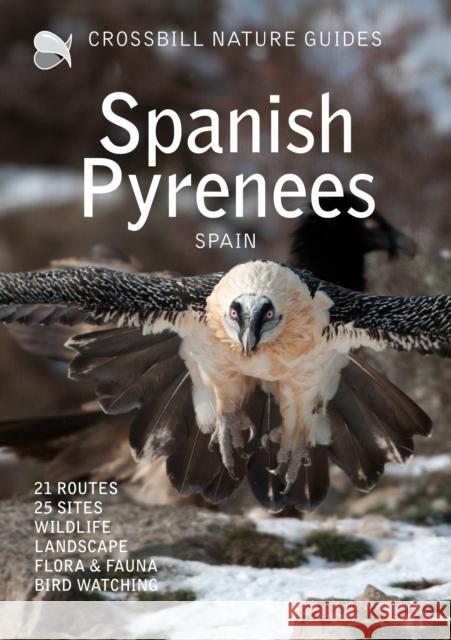 Crossbill Nature Guide Spanish Pyrenees Dirk Hilbers 9789491648397