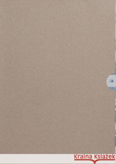 Ceramics - Paintings Tinus Vermeersch 9789493146242 APE