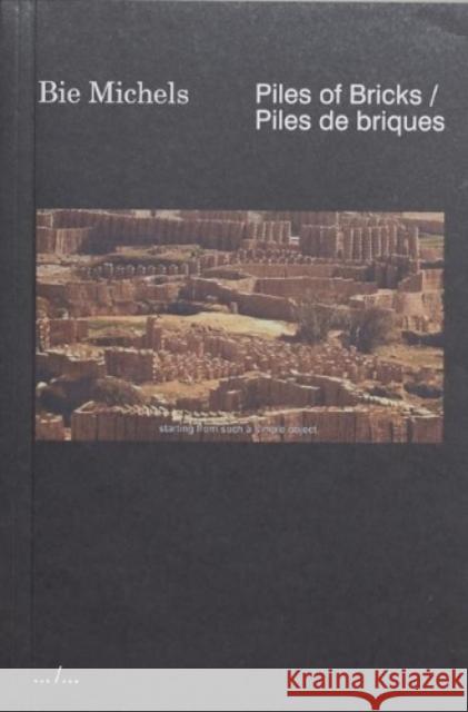 Piles of Bricks / Piles de briques Bie Michels 9789493146365