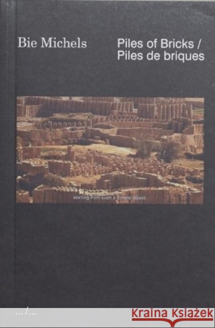 Piles of Bricks / Piles de briques Bie Michels 9789493146365