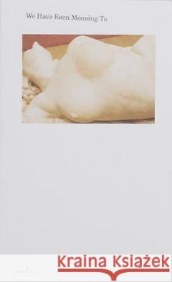 We Have Been Meaning To Haydee Touitou 9789493146402 APE