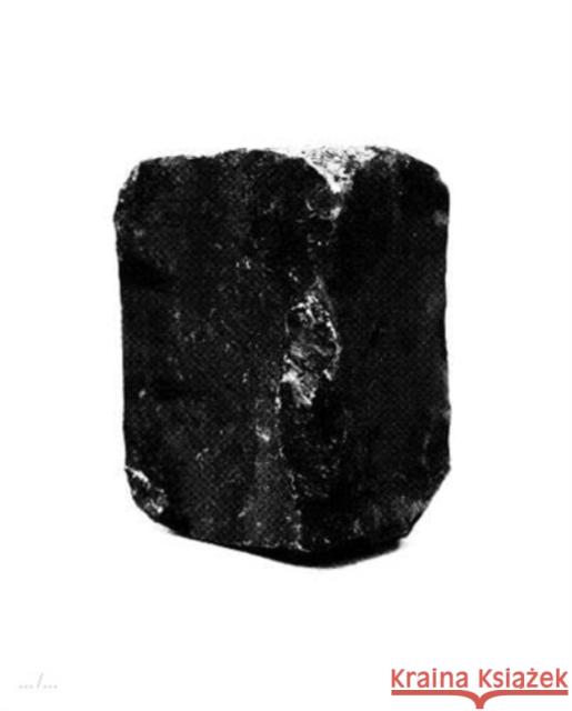 Sandcastles And Rubbish Sybren Vanoverberghe 9789493146778 APE