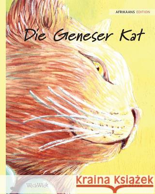 Die Geneser Kat: Afrikaans Edition of The Healer Cat Tuula Pere Klaudia Bezak Victor Stols 9789523571006