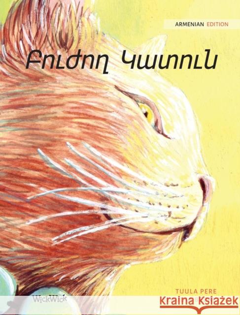 Բուժող Կատուն: Armenian Edition of The Healer Cat Pere, Tuula 9789523571020 Wickwick Ltd