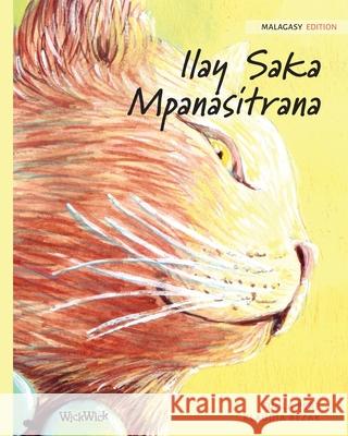 Ilay Saka Mpanasitrana: Malagasy Edition of The Healer Cat Pere, Tuula 9789523571945 Wickwick Ltd