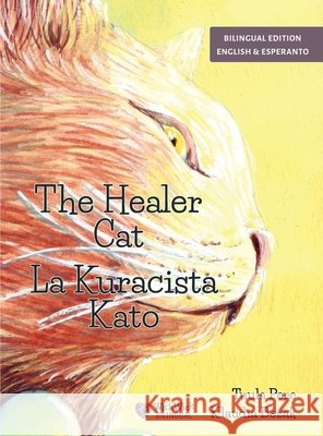 The Healer Cat / La Kuracista Kato: Bilingual English-Esperanto Edition Pere, Tuula, Bezak, Klaudia, Kiyani, Usman 9789528209966