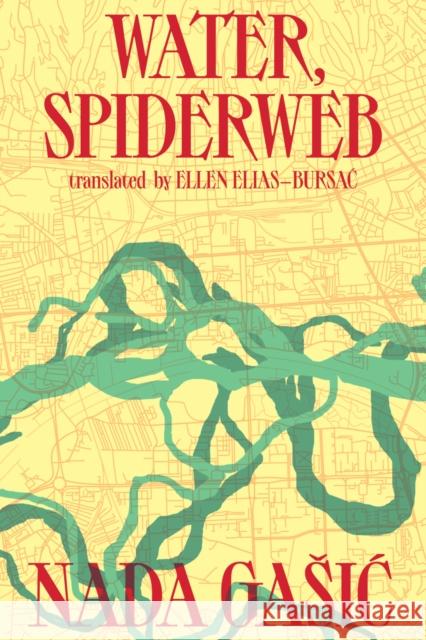 Water, Spiderweb Nada Gasic 9789533515199