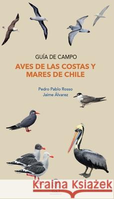 Aves de las costas y mares de Chile Pedro Pablo Rosso 9789561423343 Ediciones Ucsh