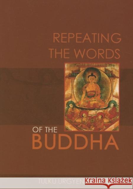 Repeating the Words of the Buddha Tulku Urgyen Rinpoche Marcia Binder Schmidt Erik Pema Kunsang 9789627341598 Rangjung Yeshe Publications