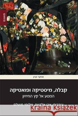Kabbalah, Mysticism and Poetry: The Journey to the End of Vision: 2015 Avi Elqayam Shlomy Mualem  9789654938082 Hebrew University Magnes Press