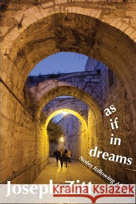 as if in dreams: Notes following Aliyah Joseph S. Zitt 9789659274208 Metatron Arts & Media