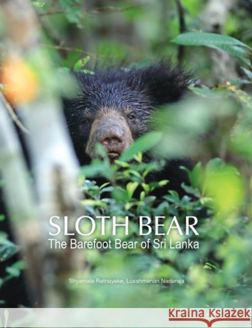 Sloth Bear: The Barefoot Bear of Sri Lanka Luxshmanan Nadaraja Shyamala Ratnayeke 9789675492259