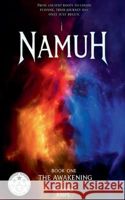 Namuh Book 1: The Awakening Desmond Knipe 9789696992035 Desmond Knipe