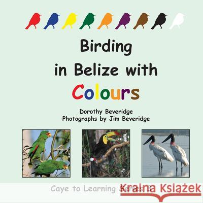 Birding in Belize with Colours Dorothy Beveridge Jim Beveridge 9789768142559 Produccicones de La Hamaca