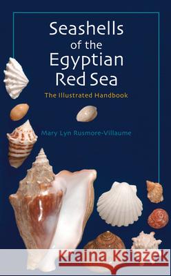 Seashells of the Egyptian Red Sea: The Illustrated Handbook Rusmore-Villaume, Mary Lyn 9789774160967 American University in Cairo Press