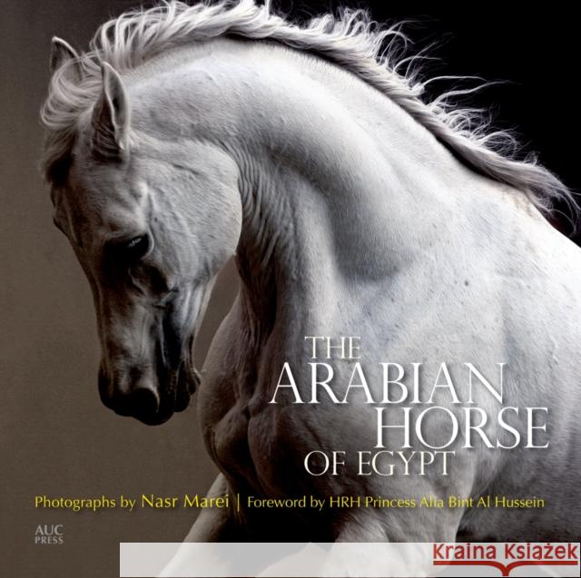 The Arabian Horse of Egypt Cynthia Culbertson Nasr Marei Alia Bint A 9789774166655 The American University in Cairo Press