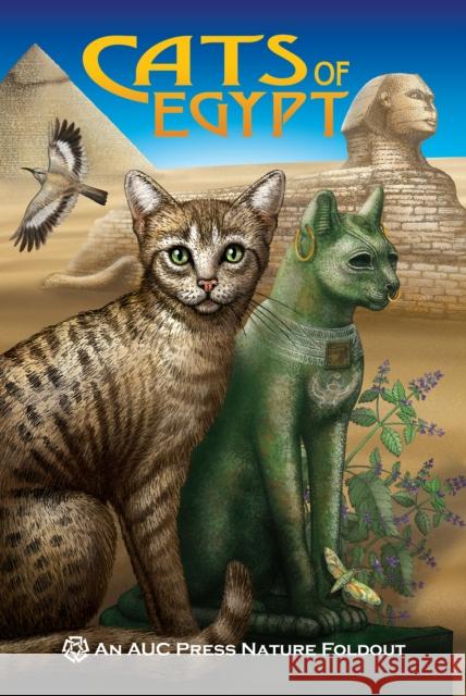Cats of Egypt Dominique Navarro Richard Hoath 9789774166754 American University in Cairo Press