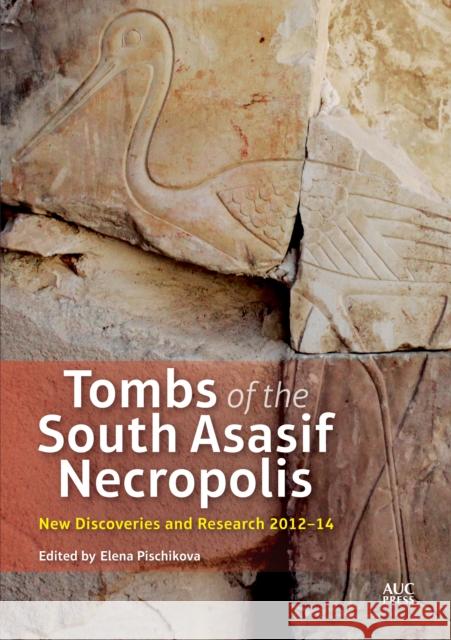 Tombs of the South Asasif Necropolis: New Discoveries and Research 2012-2014 Pischikova, Elena 9789774167249 American University in Cairo Press