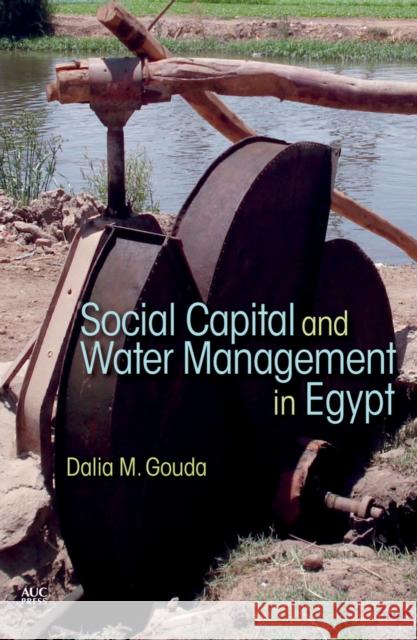 Social Capital and Local Water Management in Egypt Dalia M. Gouda 9789774167638 American University in Cairo Press