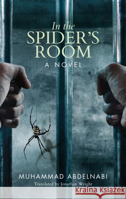 In the Spider's Room Abdelnabi, Muhammad 9789774168758 The American University in Cairo Press