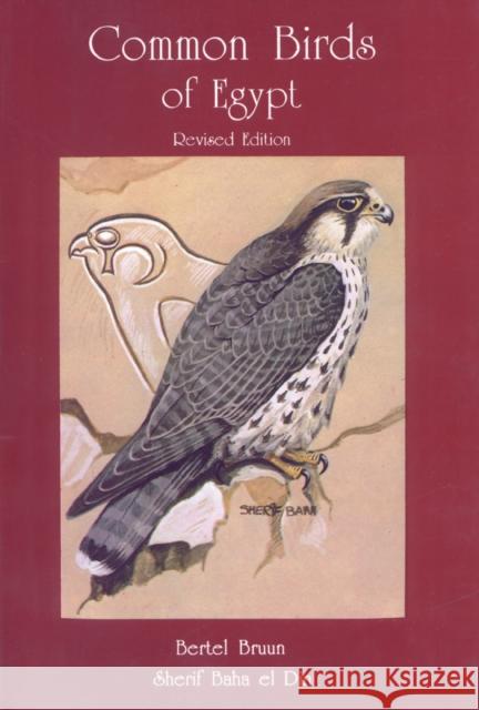 Common Birds of Egypt Bruun                                    Bertel Bruun Sherif Baha El Din 9789774242397 American University in Cairo Press