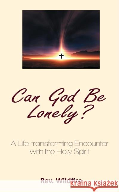 Can God Be Lonely? Wildfire Divine-Favour 9789785228120 Wildfire Publishing House