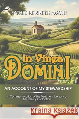 In Vinea Domini: An Account of my stewardship Father Kenneth Agwu 9789786958798 Roluck Communications