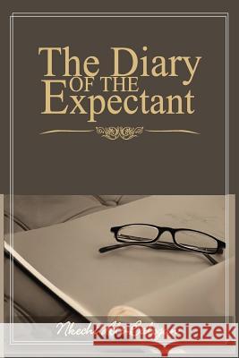 The Diary of the Expectant Mrs Nkechi Ali-Balogun 9789789533299