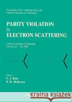 Parity Violation in Electron Scattering - Proceedings of the Workshop E. J. Beise Robert D. McKeown 9789810202651