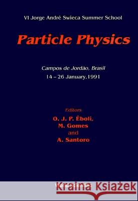 Particle Physics - VI Jorge Andre Swieca Summer School M. O. C. Gomes Oscar J. P. Eboli Alberto Santoro 9789810210380