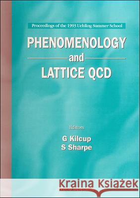 Phenomenology and Lattice QCD - Proceedings of the 1993 Uehling Summer School Stephen R. Sharpe Gregory Weston Kilcup 9789810222253 World Scientific Publishing Company