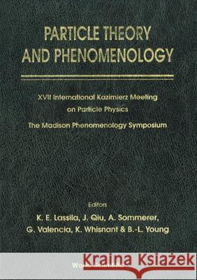 Particle Theory And Phenomenology - Proceedings Of Xvii International Kazimierz Meeting On Particle Physics And Of The Madison Phenomenology Symposium A Sommerer, Bing Lin Young, German Valencia 9789810229030 World Scientific (RJ)