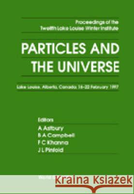 Particles And The Universe: Proceedings Of The 12th Lake Winter Institute Alan Astbury, Bruce A Campbell, Faqir C Khanna 9789810234676