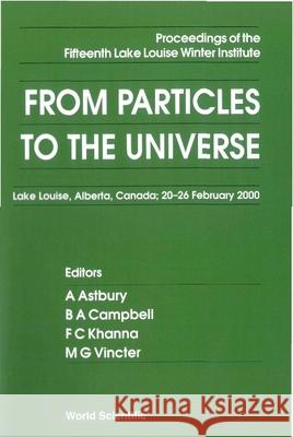 From Particles to the Universe - Proceedings of the Fifteenth Lake Louise Winter Institute A. Astbury B. A. Campbell F. C. Khanna 9789810244378 World Scientific Publishing Company