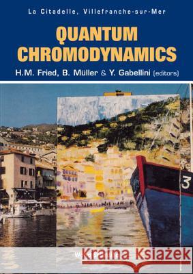 Quantum Chromodynamics - Proceedings of the Fifth Workshop H. M. Fried B. Muller 9789810244798 World Scientific Publishing Company