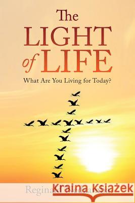 The Light of Life: What Are You Living for Today? Reginald Nedzamba 9789810991296