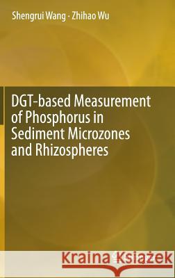 Dgt-Based Measurement of Phosphorus in Sediment Microzones and Rhizospheres Wang, Shengrui 9789811007200 Springer