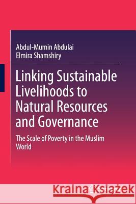 Linking Sustainable Livelihoods to Natural Resources and Governance: The Scale of Poverty in the Muslim World Abdulai, Abdul-Mumin 9789811012143
