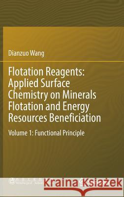 Flotation Reagents: Applied Surface Chemistry on Minerals Flotation and Energy Resources Beneficiation: Volume 1: Functional Principle Wang, Dianzuo 9789811020285 Springer