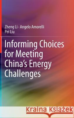 Informing Choices for Meeting China's Energy Challenges Zheng Li Angelo Amorelli Pei Liu 9789811023521 Springer